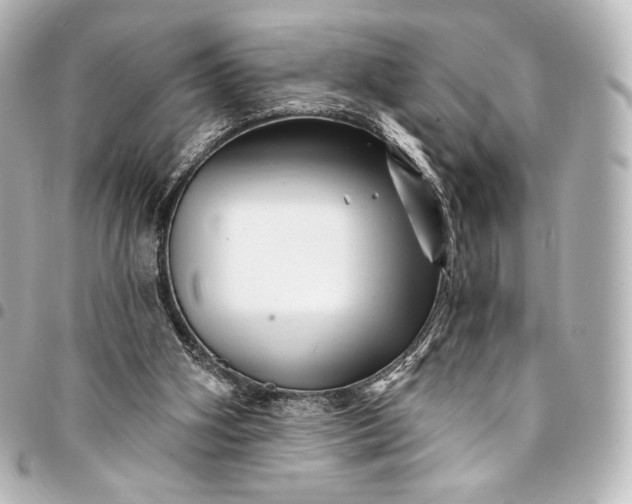 X0000095550106200712281615