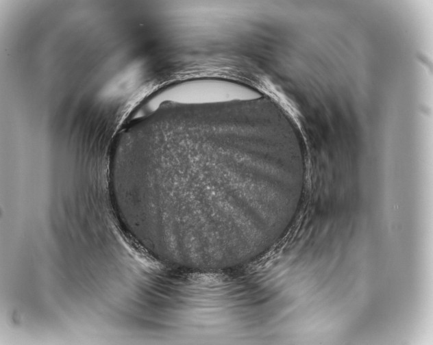 X0000095550107200712281615