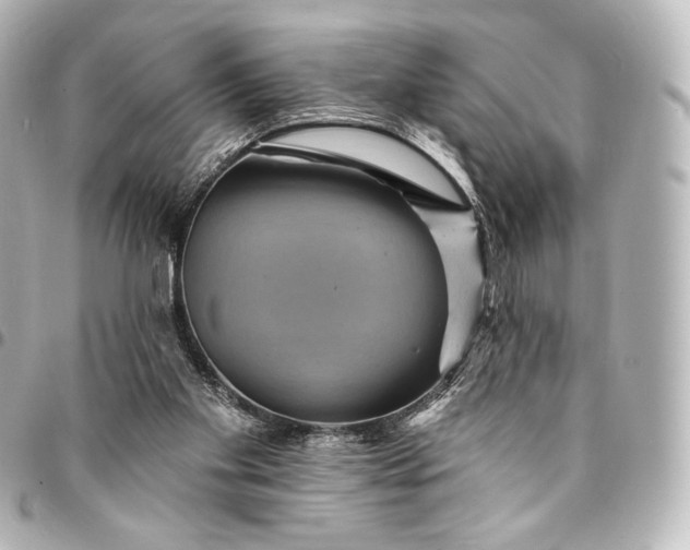 X0000095550109200712281615