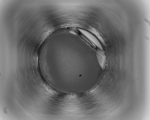 X0000095550110200712281615