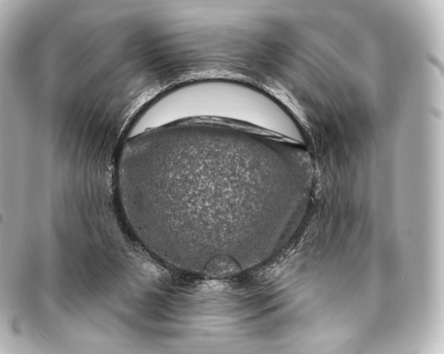 X0000095550111200712281614