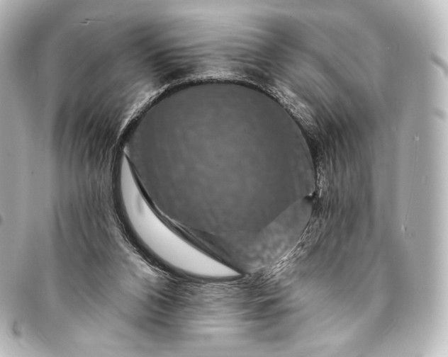 X0000095550112200712281614