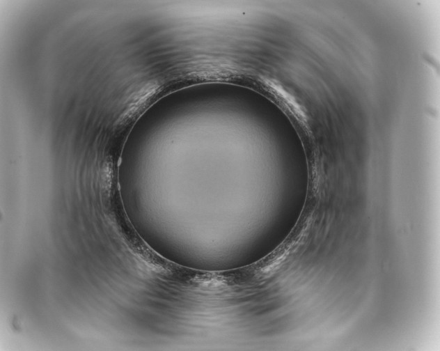 X0000095550113200712281614