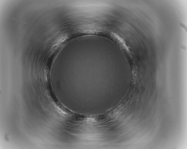 X0000095550114200712281614