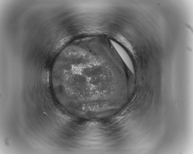 X0000095550115200712281614