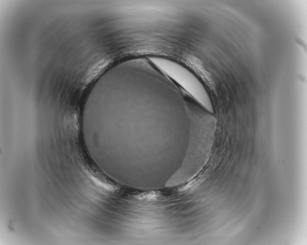 X0000095550116200712281614