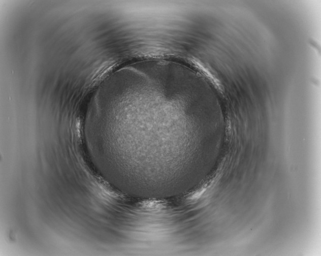 X0000095550117200712281614