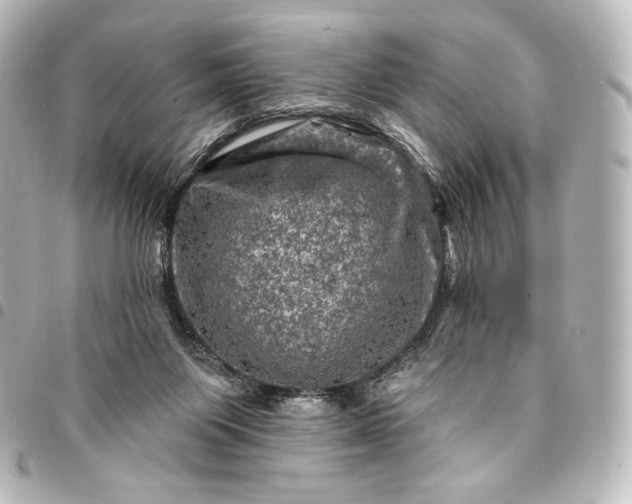 X0000095550119200712281614