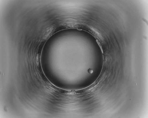 X0000095550121200712281614