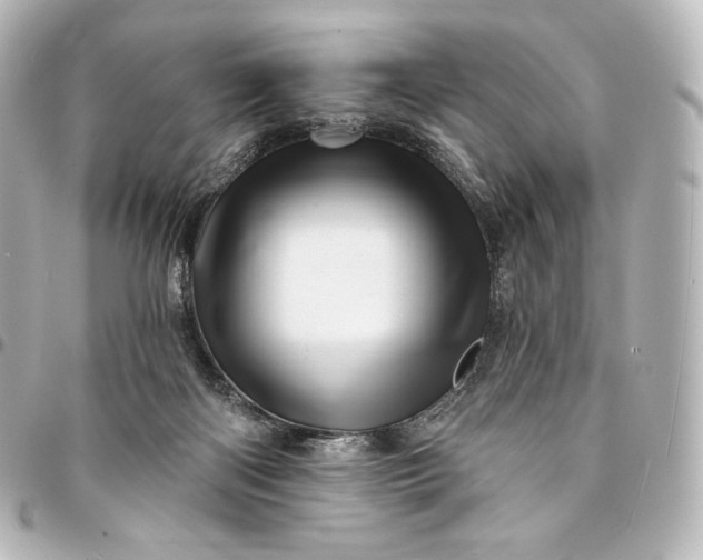 X0000095550122200712281614