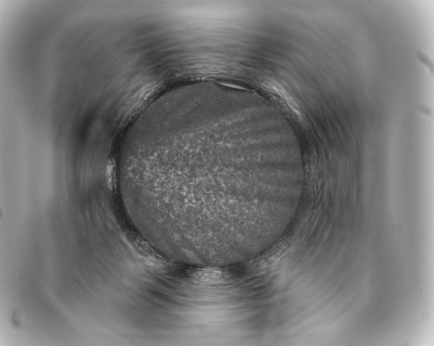 X0000095550123200712281614