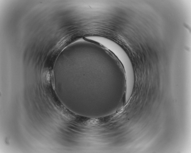 X0000095550124200712281614