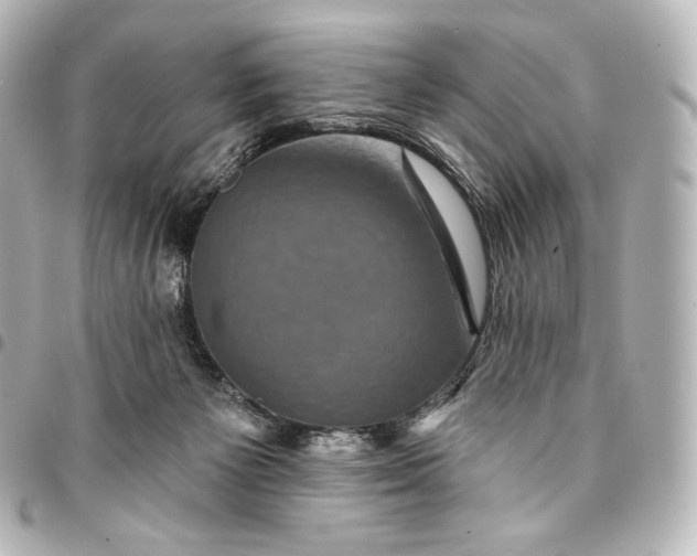 X0000095550125200712281614