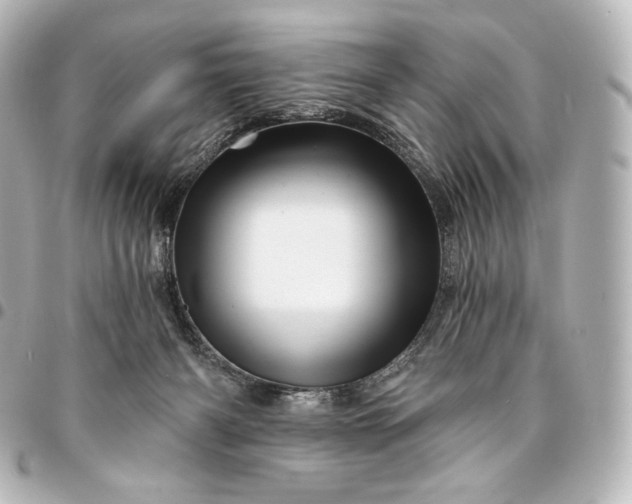 X0000095550126200712281614