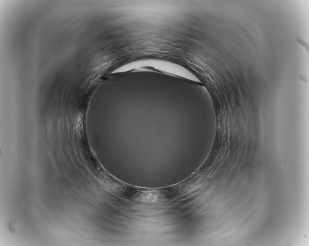 X0000095550127200712281614