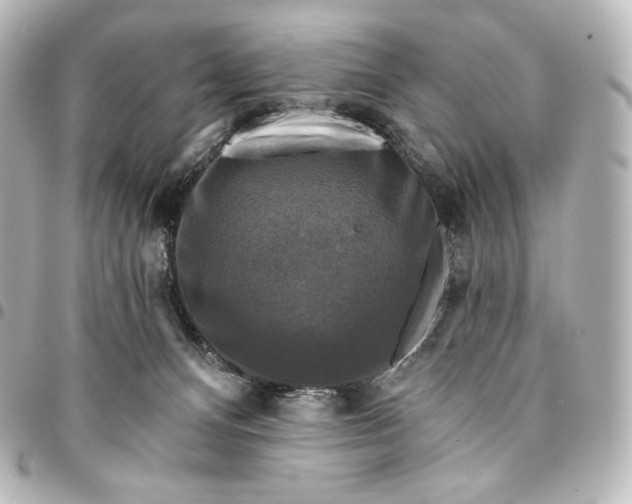 X0000095550128200712281614