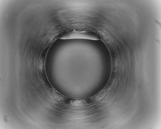 X0000095550129200712281614