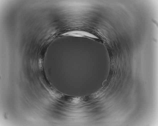 X0000095550130200712281614