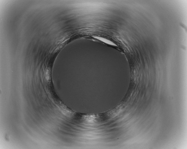 X0000095550131200712281614