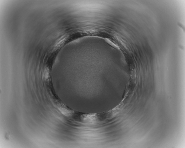 X0000095550132200712281614