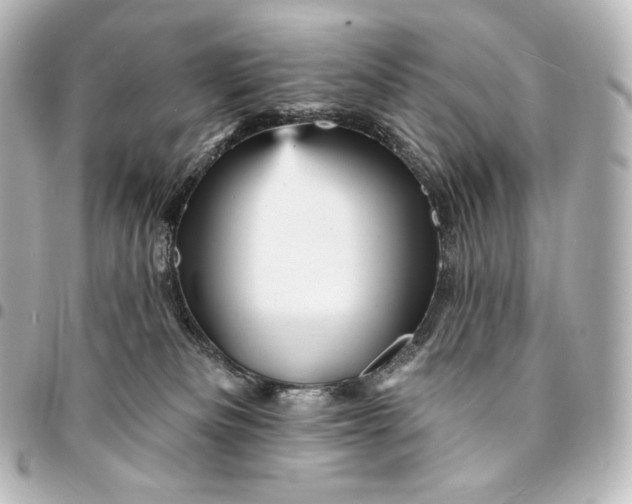 X0000095550133200712281614