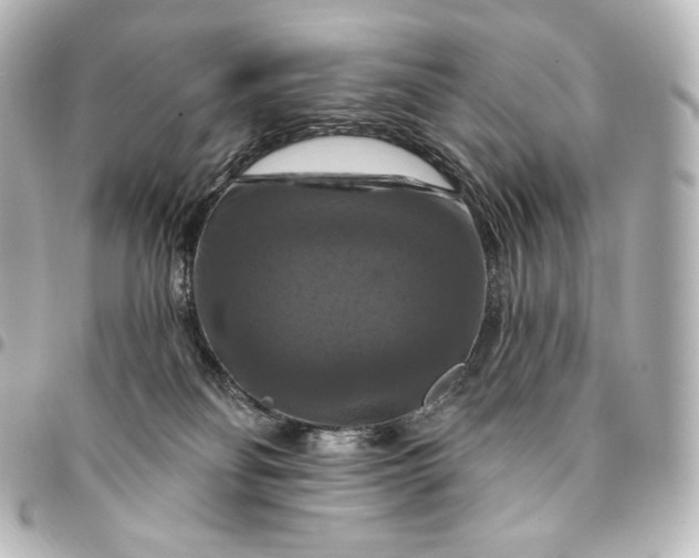 X0000095550134200712281614