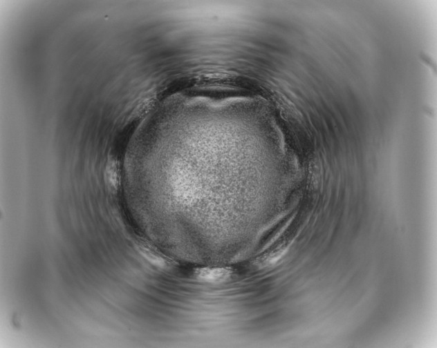 X0000095550135200712281614