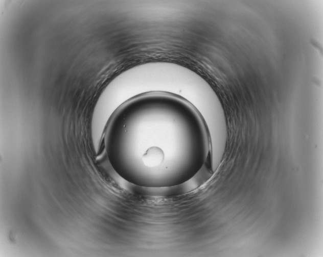 X0000095550136200712281614