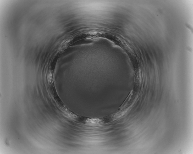 X0000095550137200712281614