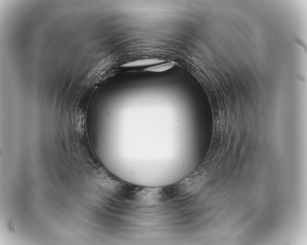 X0000095550138200712281614