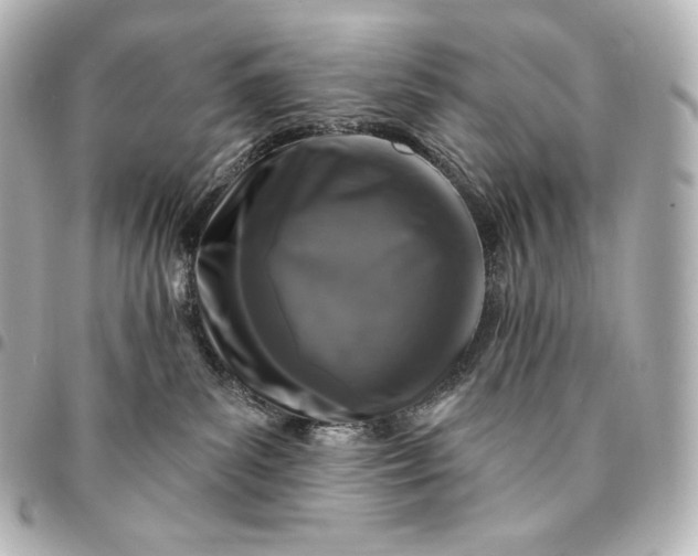 X0000095550139200712281614