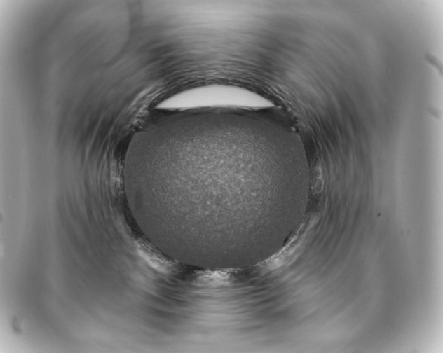 X0000095550140200712281614