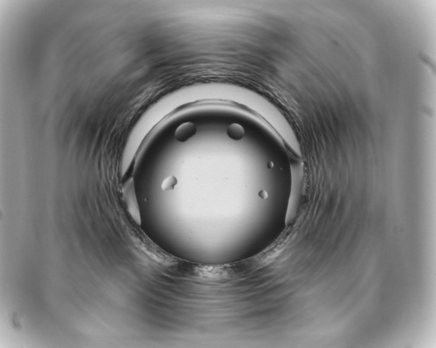 X0000095550141200712281614