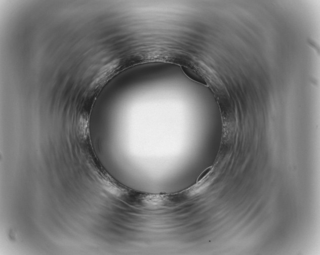 X0000095550142200712281614