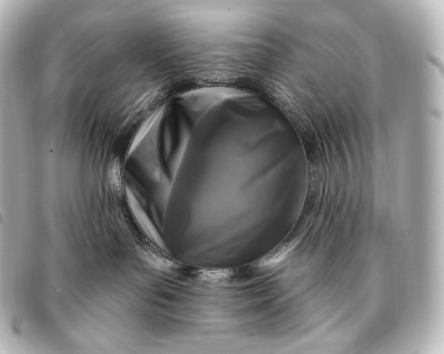 X0000095550143200712281614