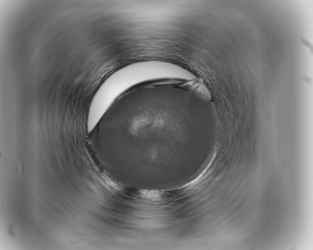 X0000095550144200712281614