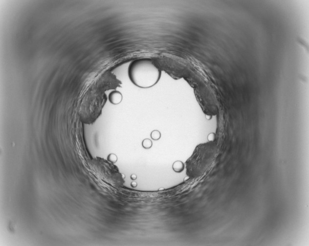 X0000095550145200712281613