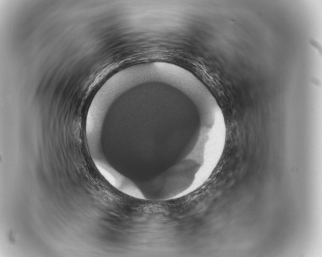 X0000095550146200712281613