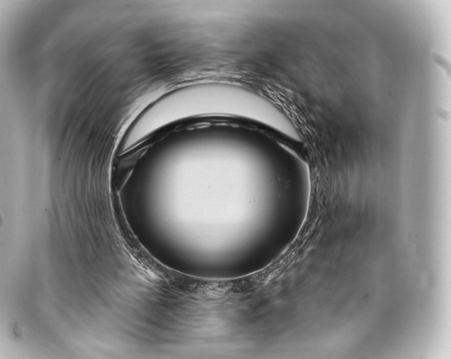 X0000095550148200712281613