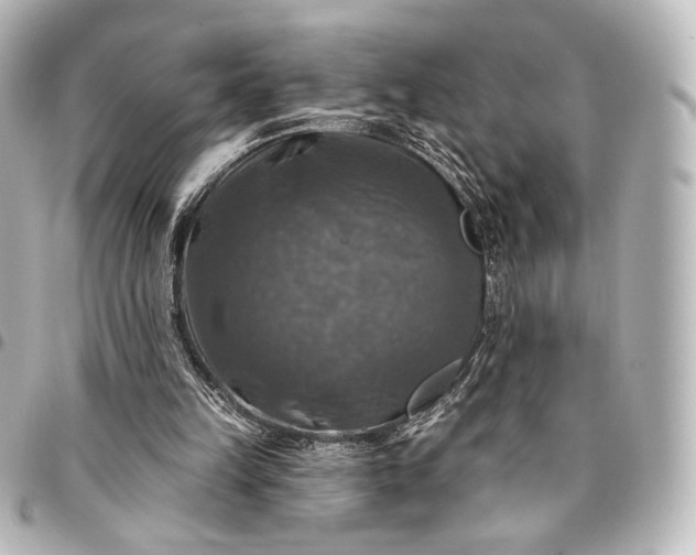 X0000095550149200712281613