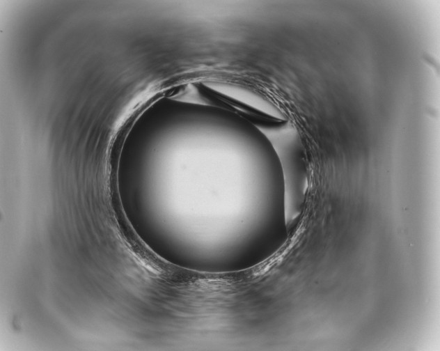 X0000095550150200712281613