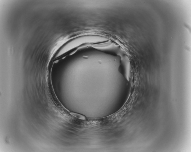 X0000095550152200712281613