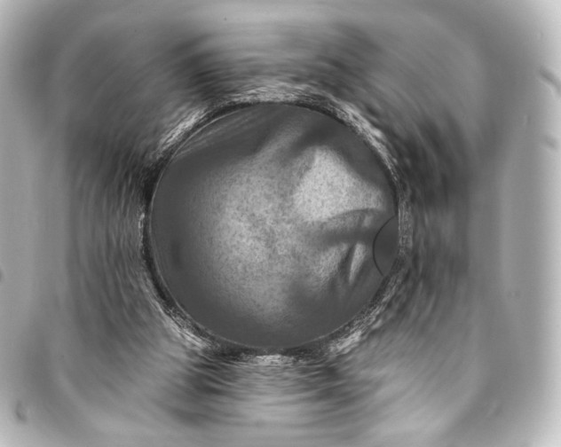 X0000095550153200712281613