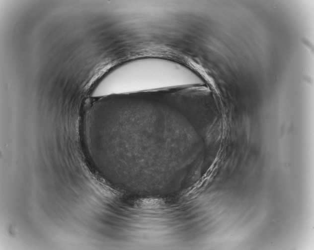 X0000095550154200712281613