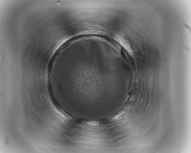 X0000095550156200712281613