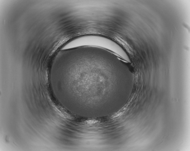 X0000095550158200712281613