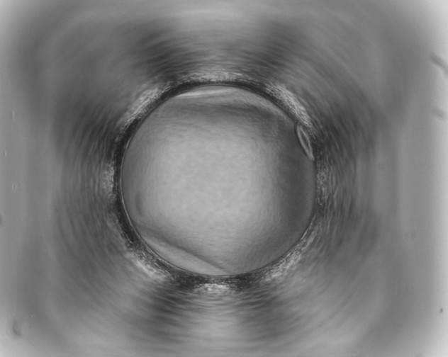 X0000095550159200712281613