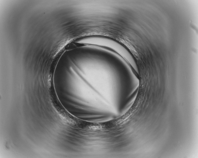 X0000095550160200712281613