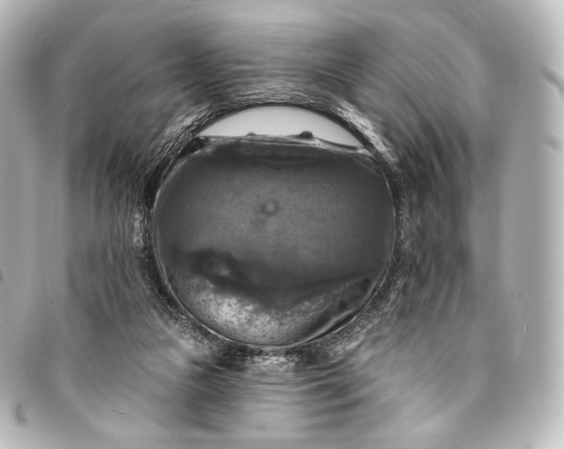 X0000095550161200712281613