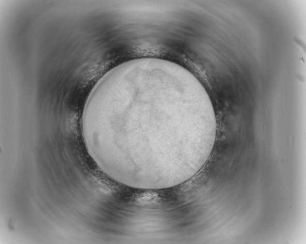 X0000095550162200712281613